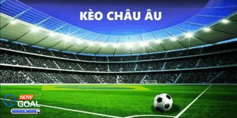 Kèo Châu Âu Kèo Châu Âu - Cách hiểu cơ bản cho người mới